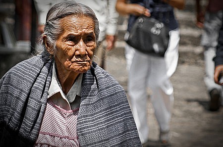 Foto: animalpolitico.com