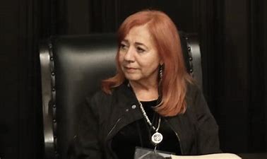 El derecho a una vida sin la violencia de los medios: Carta abierta a Rosario Piedra Ibarra
