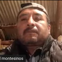 Miguel Montesinos León