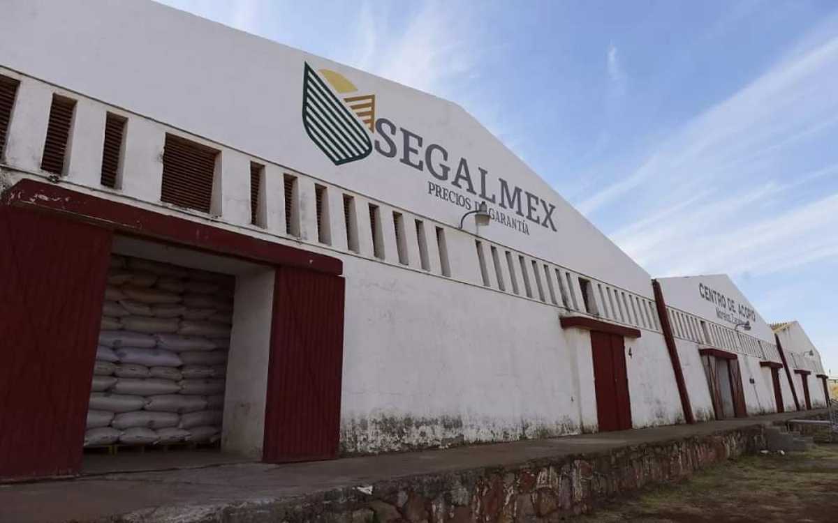 FGR detiene a ex director de Administración de Segalmex por desvío de más de 142 mdp 
