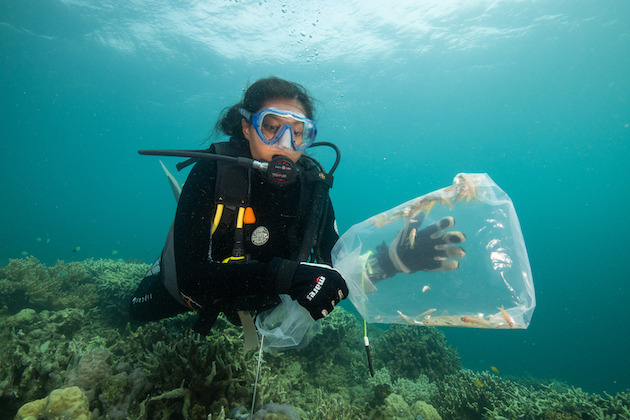  Nueva investigación sobre el calentamiento global y los océanos