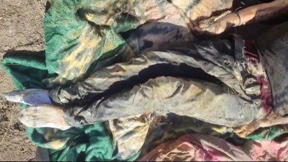 Hasta Encontrarte localiza dos cuerpos en fosas de Guanajuato