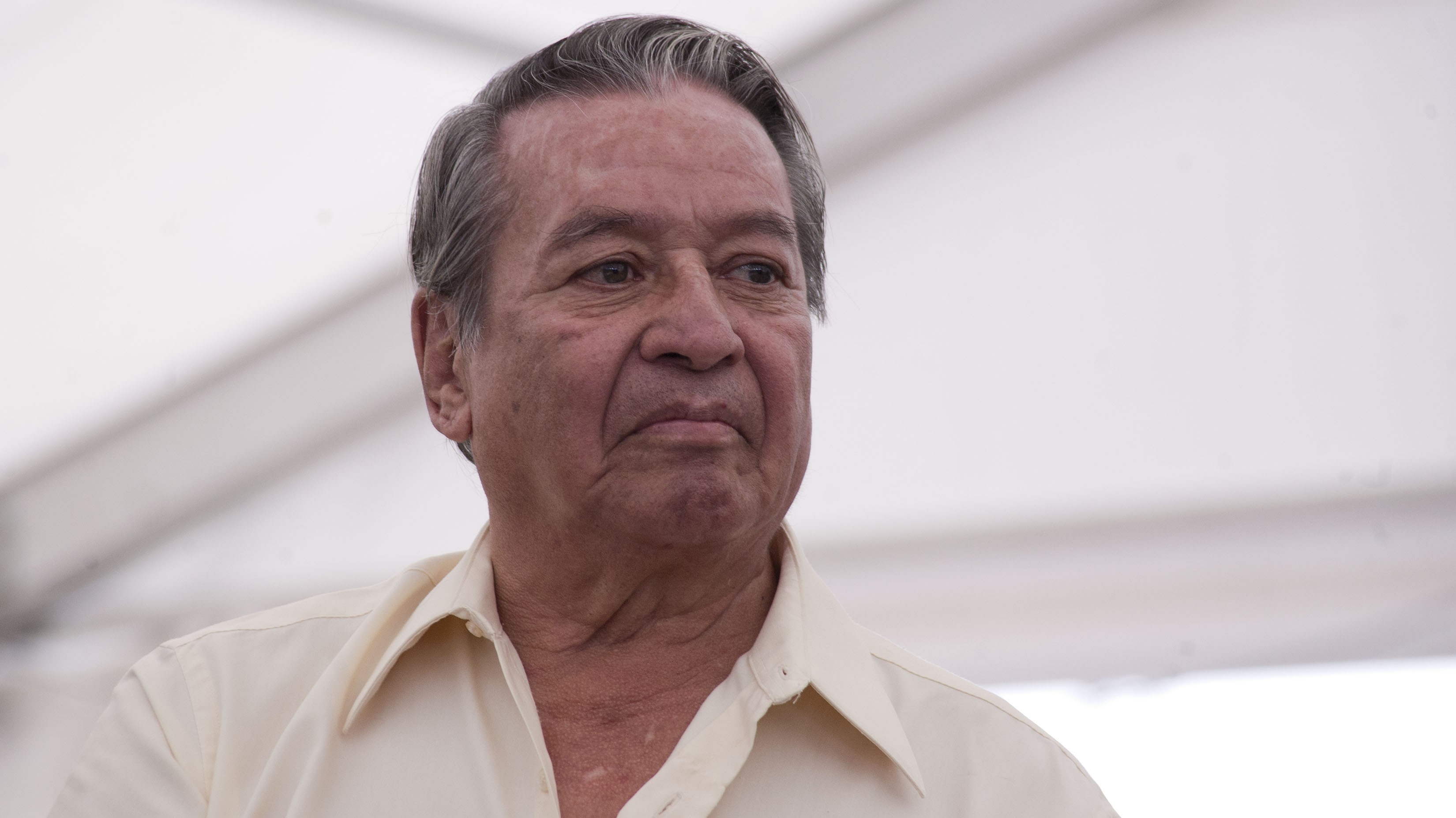 Un adiós a La onda y El juvenilismo de José Agustín