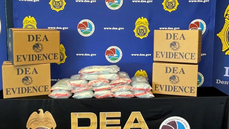 Decomisos de fentanilo por la DEA revelan actividad de cárteles 
