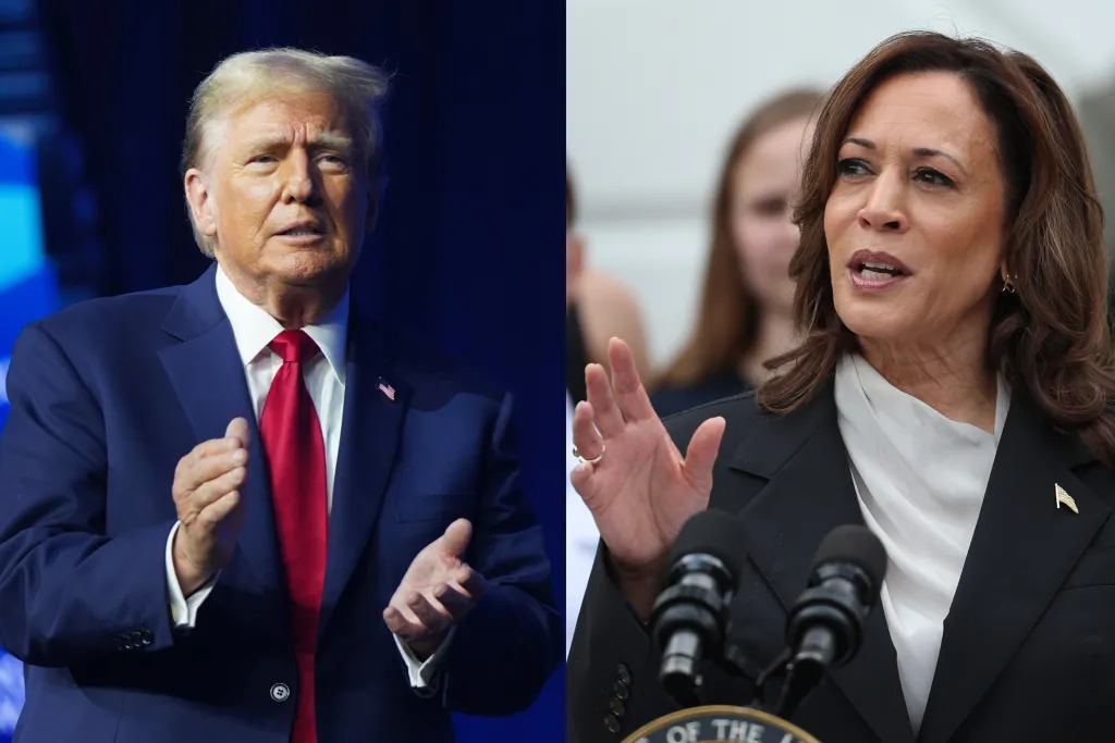 Países que intentan influir en las elecciones de EEUU