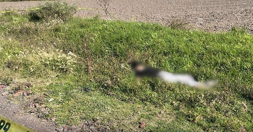 Feminicidio en Tizayuca: PGJEH investiga caso por cadáver abandonado