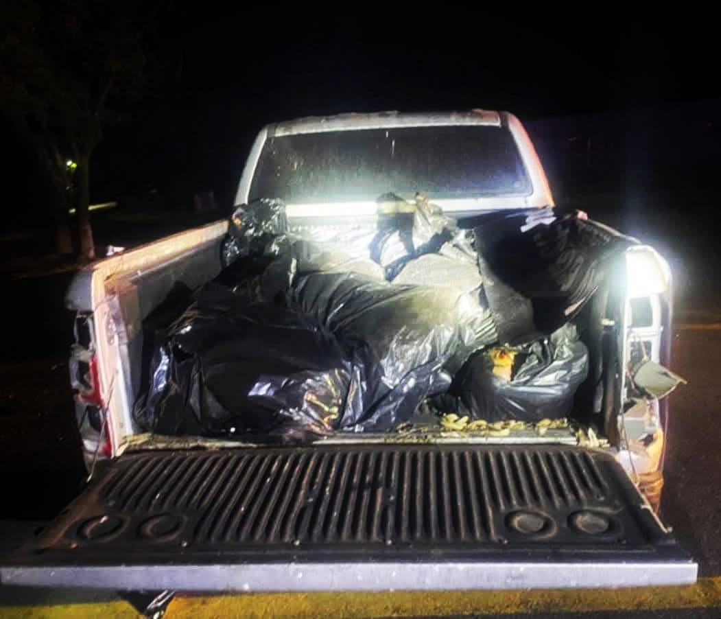 En Guanajuato, camioneta con restos humanos en bolsas de plástico