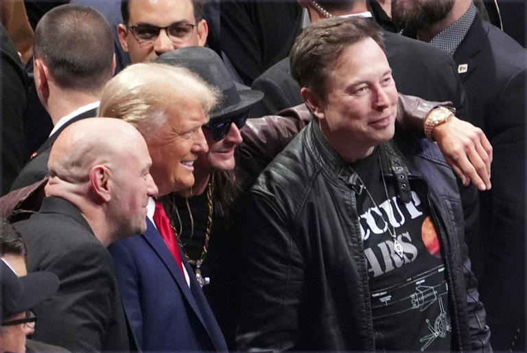 Elon Musk ejerce poder político al hundir el acuerdo presupuestario