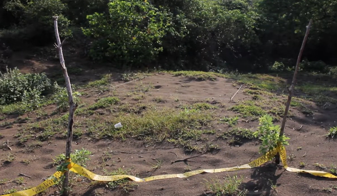 Desaparecidos en Actopan: Las tragedias silenciadas de Veracruz
