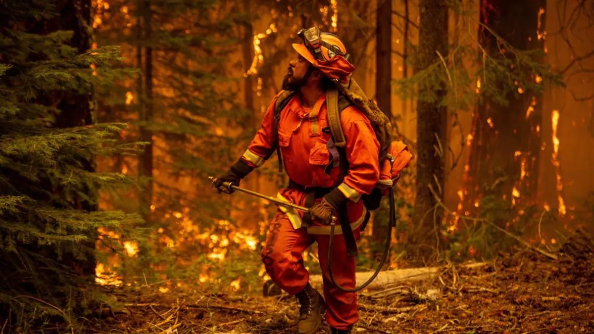 Más de 1000 prisioneros bomberos luchan contra los incendios