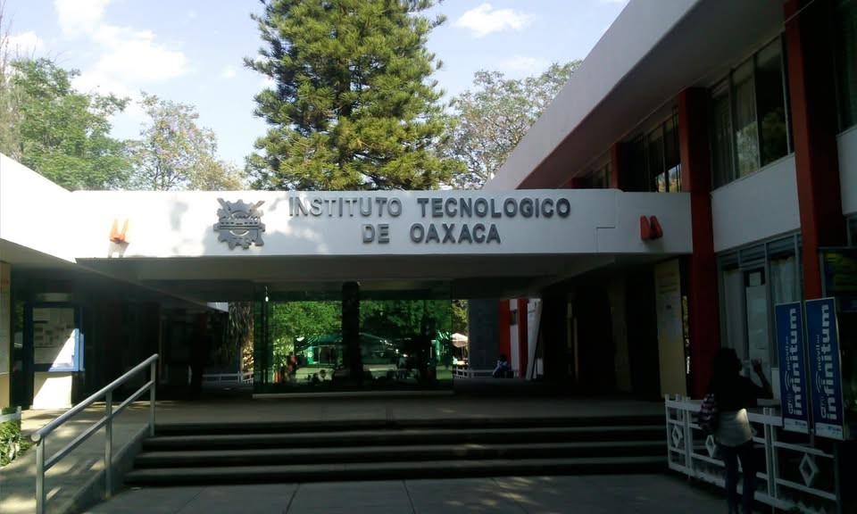 Autoridades investigan agresión contra mascota en Oaxaca de Juárez.