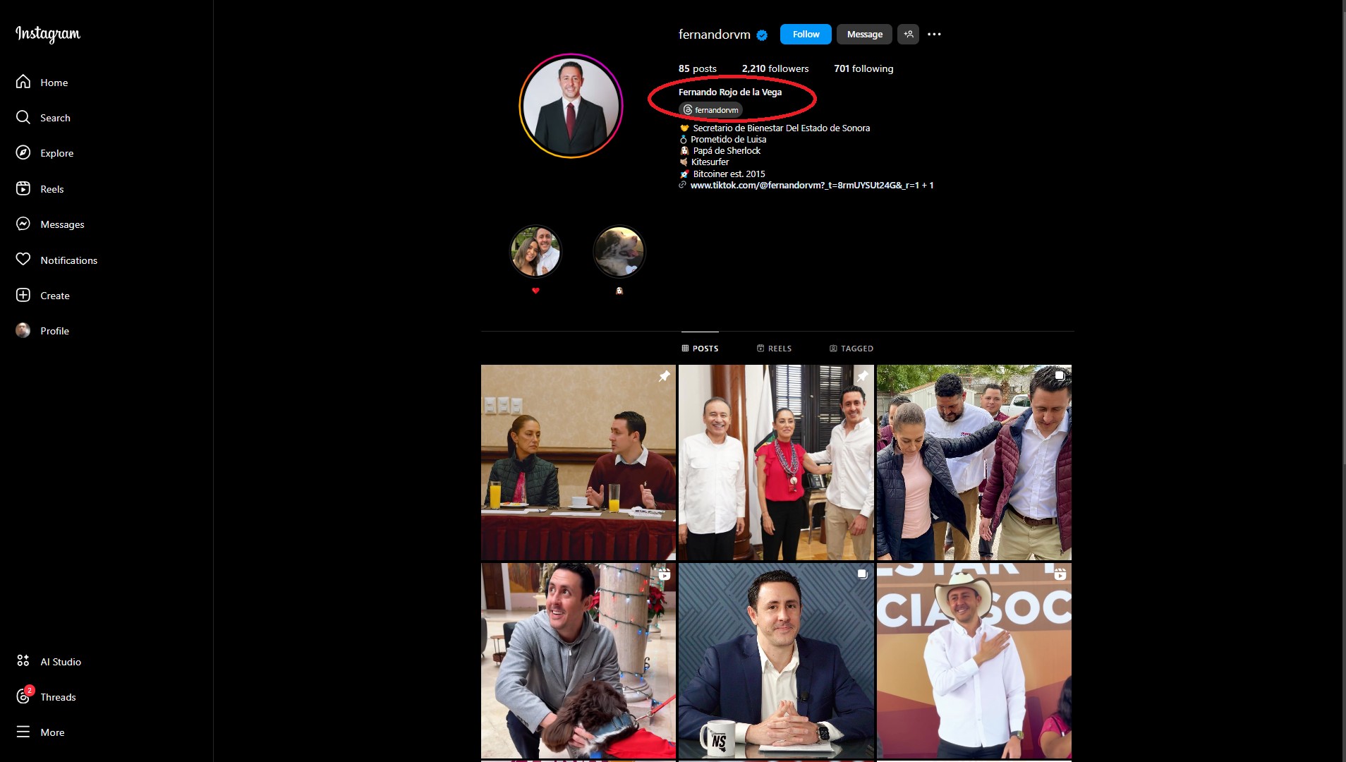 Captura de pantalla del perfil de Instagram de Fernando Rojo de la Vega Molina.