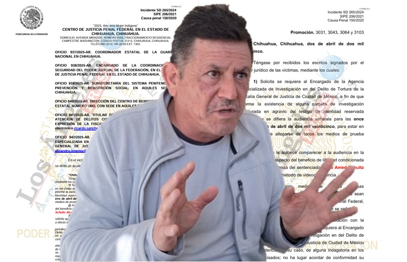 Diferida audiencia de libertad condicionada de Hugo Amed Schultz