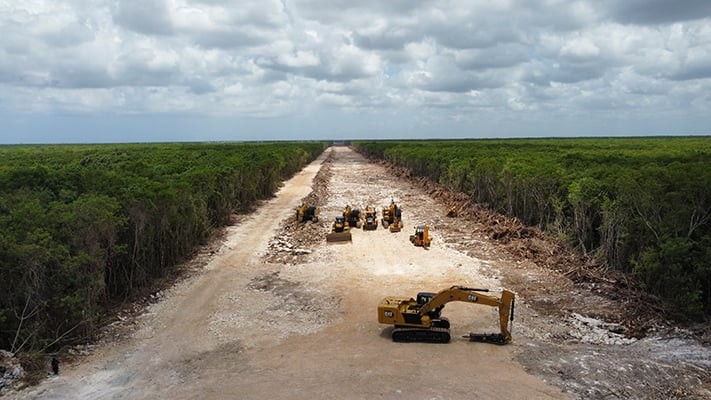 Tren Maya: El ecocidio que sí existió