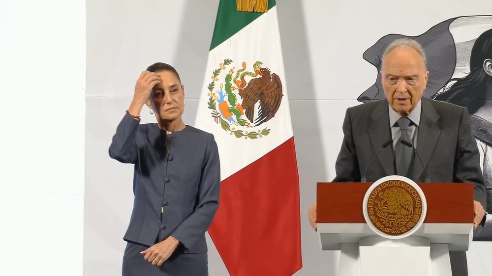 Captura de pantalla de la transmisión del 22 de abril de 2025.