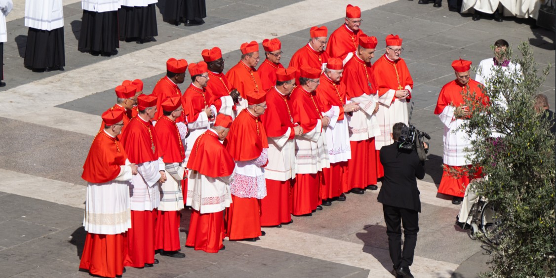 The newly appointed Cardinals during the 2023 Consistory greet Pope Francis who is behind the branches of the tree at Saint Peter's Square. Catholic Church of England and Wales @ www.flickr.com/photos/catholicism/53230402692/in/album-72177720311642573 The newly appointed Cardinals during the 2023 Consistory greet Pope Francis who is behind the branches of the tree at Saint Peter's Square. Catholic Church of England and Wales @ www.flickr.com/photos/catholicism/53230402692/in/album-72177720311642573