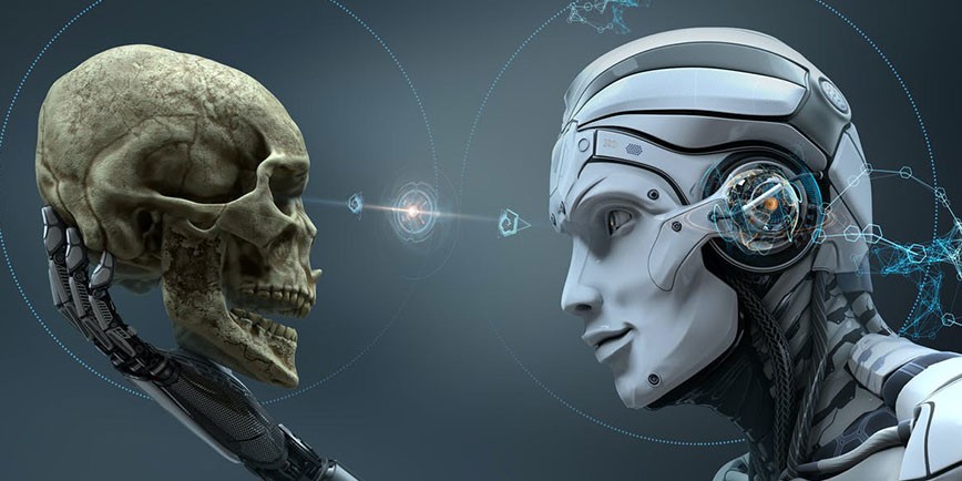 La inteligencia humana: de corazón doble