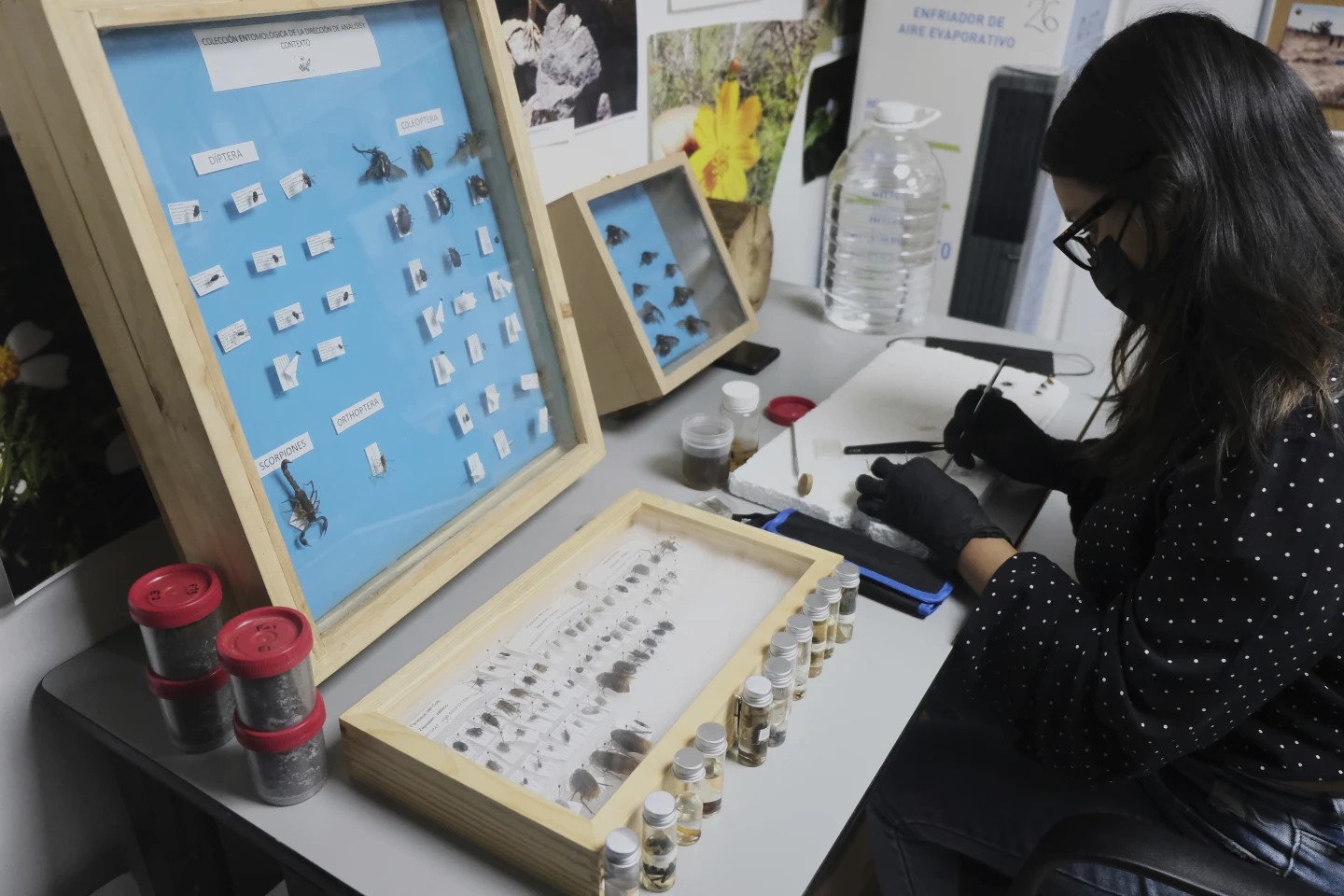 Más de 130 mil desaparecidos en México: La ciencia busca ayudar