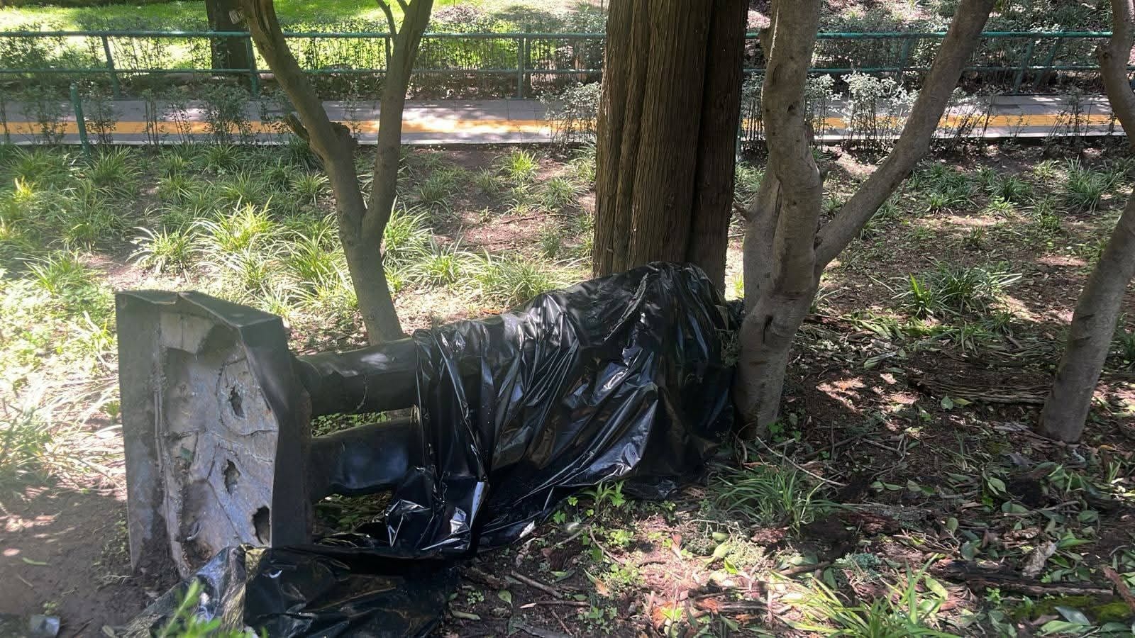 Estatua de Felipe Calderón derribada por un árbol en Los Pinos
