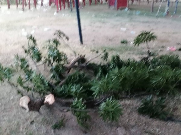 Alcalde de Ocotlán convierte estación histórica en jaripeo
