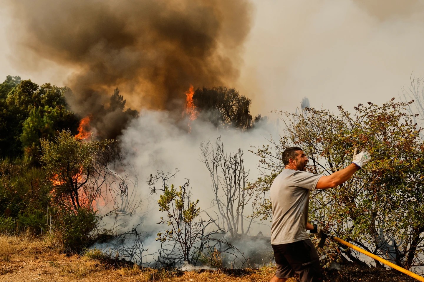 Ola de incendios en España: evolución comunidad por comunidad