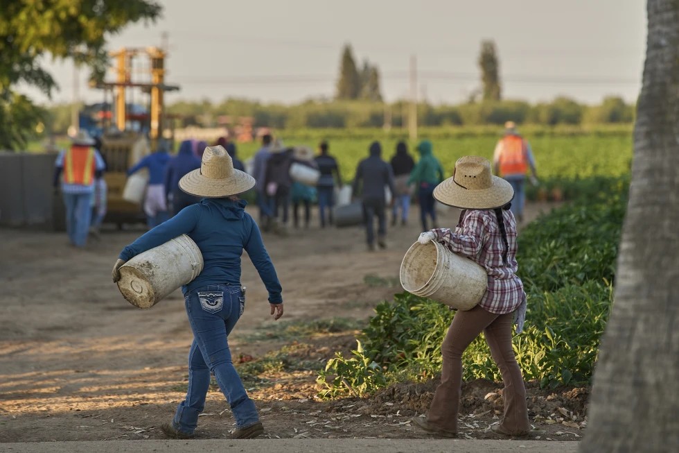 Más de 1.2 millones de migrantes han dejado la fuerza laboral en EEUU