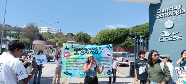 CICESE acusado de fragmentar impacto ambiental en proyecto El Sauzal