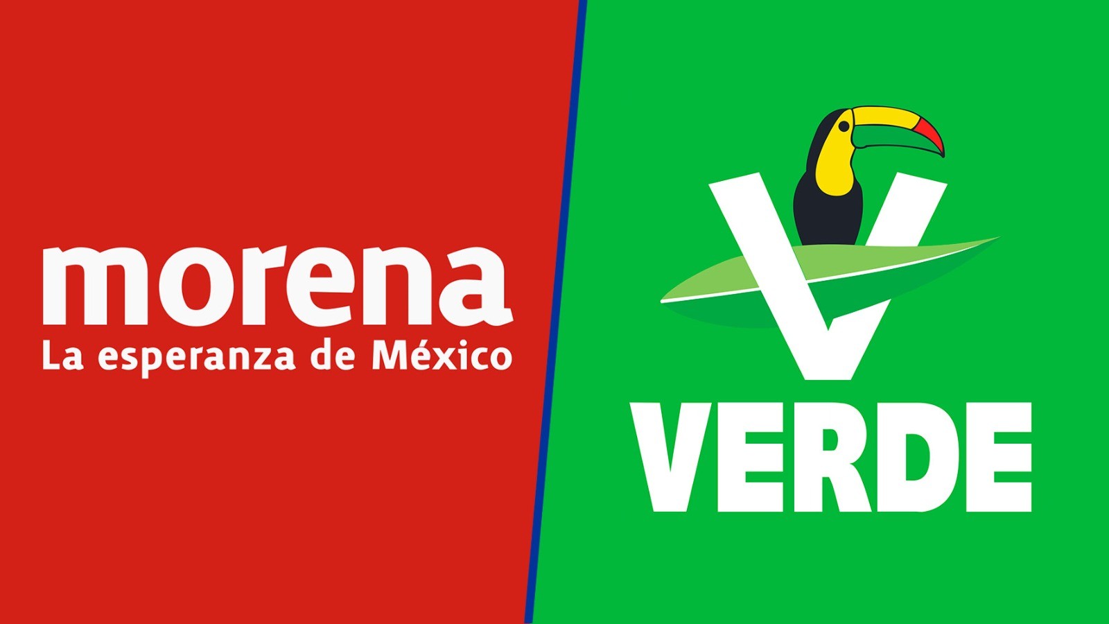 Foro Público: Morena-PVEM, una alianza en riesgo