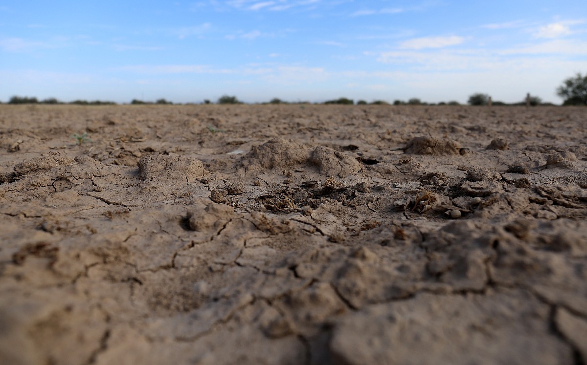 Silicon de La Laguna: del surco al silicio, una batalla ética