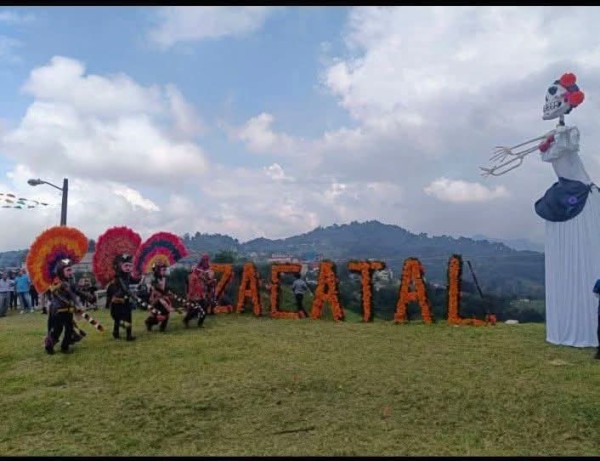 Tonayán, Veracruz: El Zacatal florece de oro