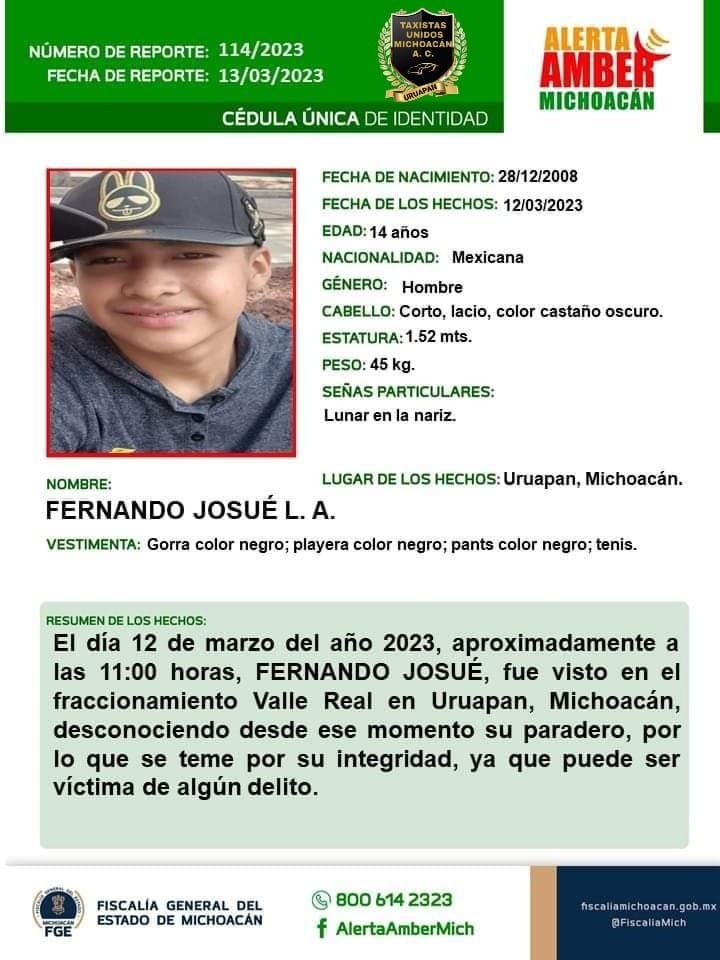 Reporte oficial de desaparecido a los 13 años. Reporte oficial de desaparecido a los 13 años.