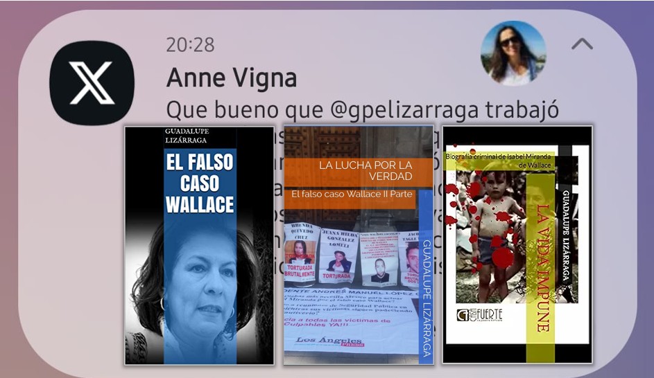 La evasión de Anne Vigna ante el caso Wallace también desinforma