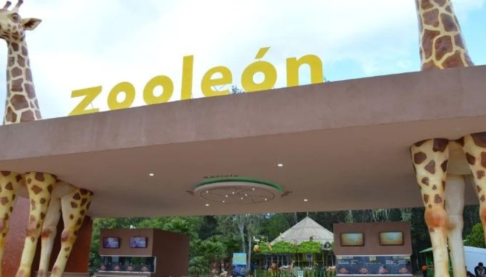 Zoo León: negligencia, opacidad y fallas detrás de muertes animales