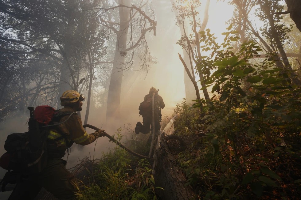 Austeridad de Milei debilita la respuesta ante incendios