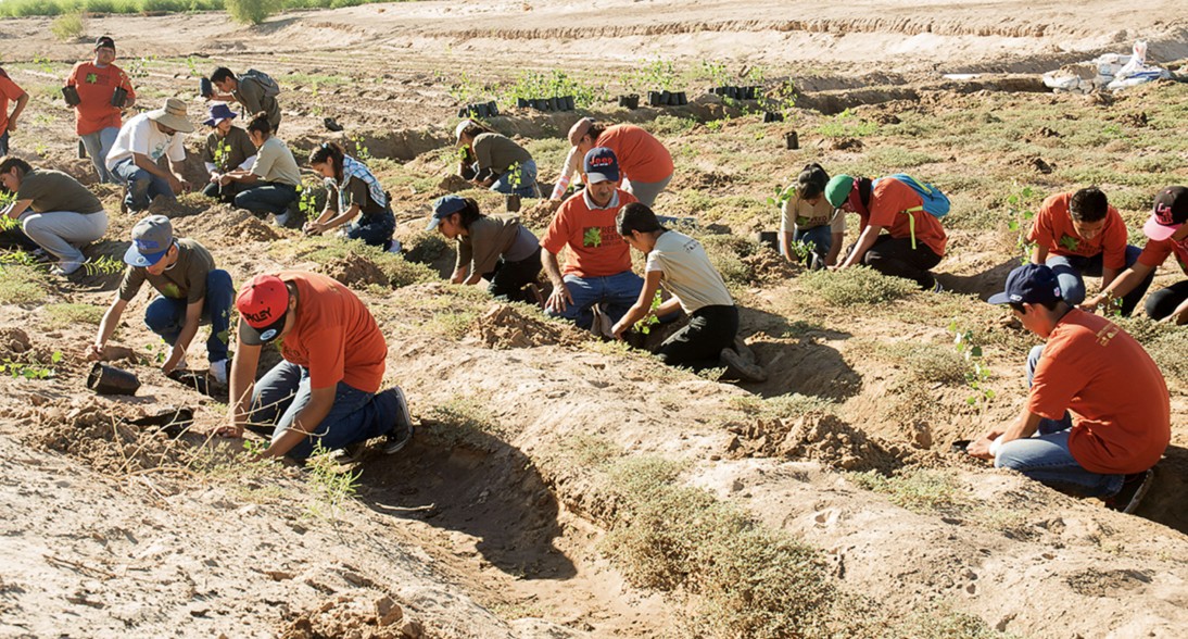 Restauración del río Colorado, beneficios ambientales a Mexicali