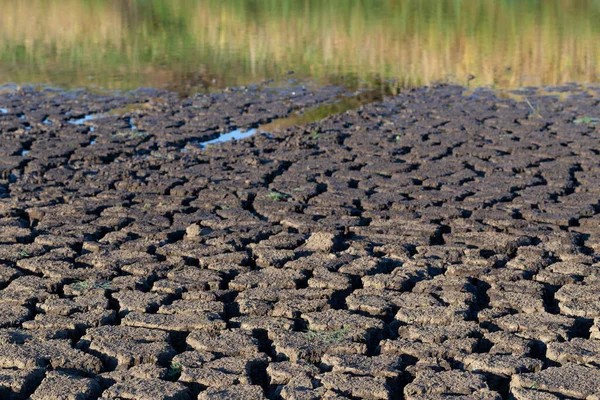 Agua para pensar: cómo la IA acelera la guerra del agua