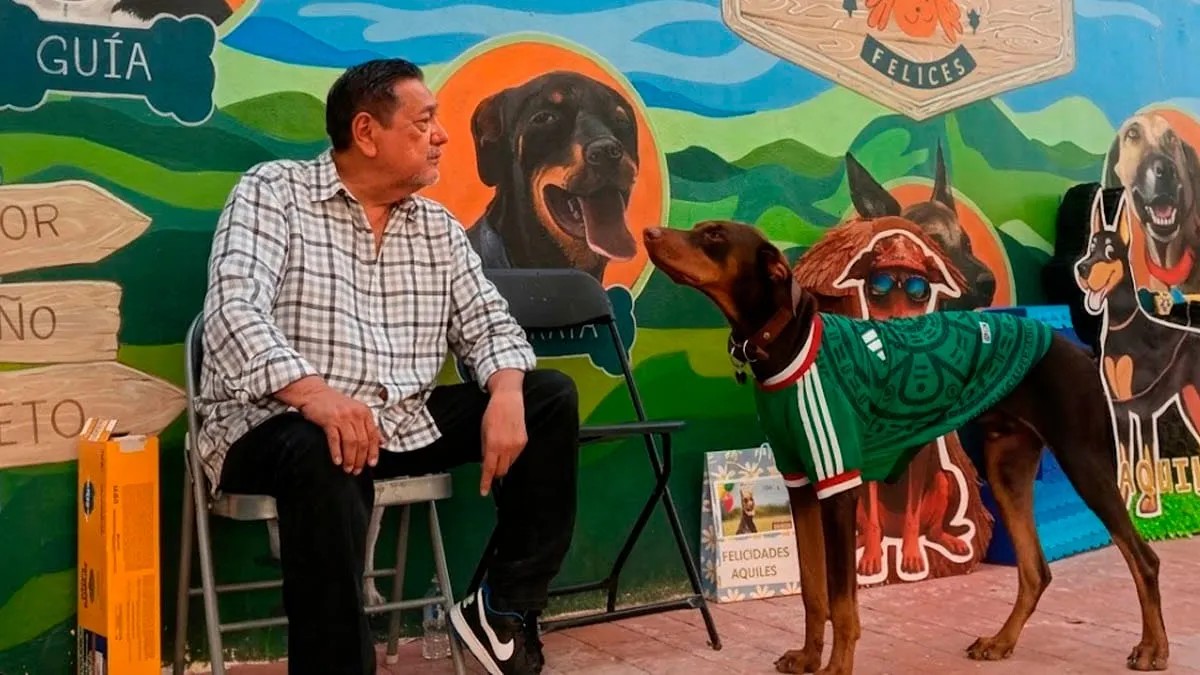 Félix Salgado viola ley ambiental y pone en riesgo fauna de zoológico