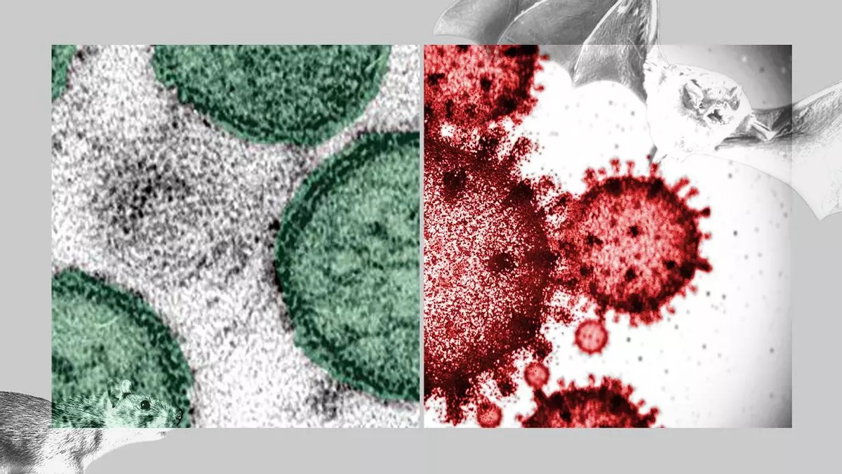 Hantavirus y COVID-19: diferencias clave que descartan otra pandemia