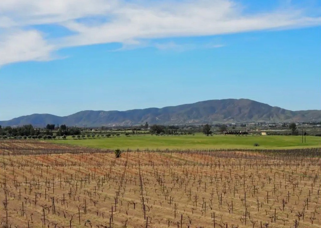 Valle de Guadalupe ubicado como entre destinos 'imperdibles'