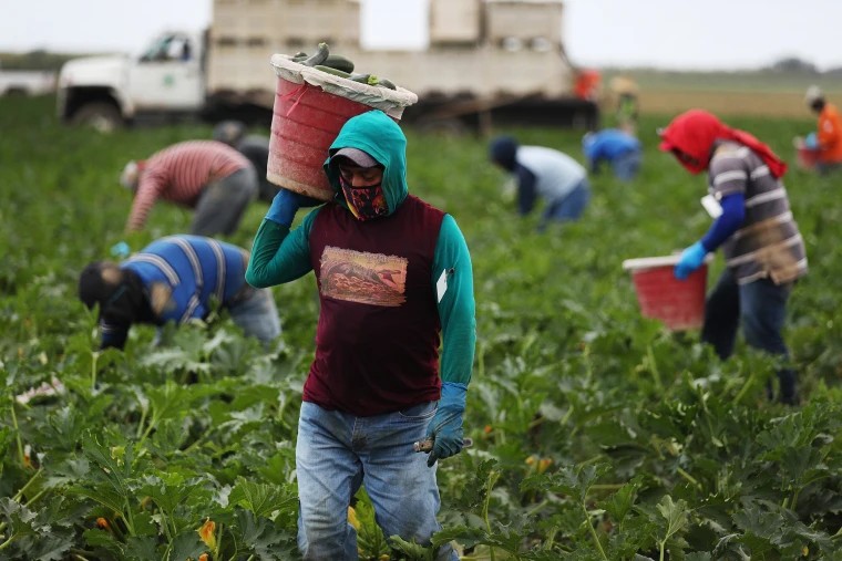 El peligroso juego de convertir a migrantes en “intervención extranjera“