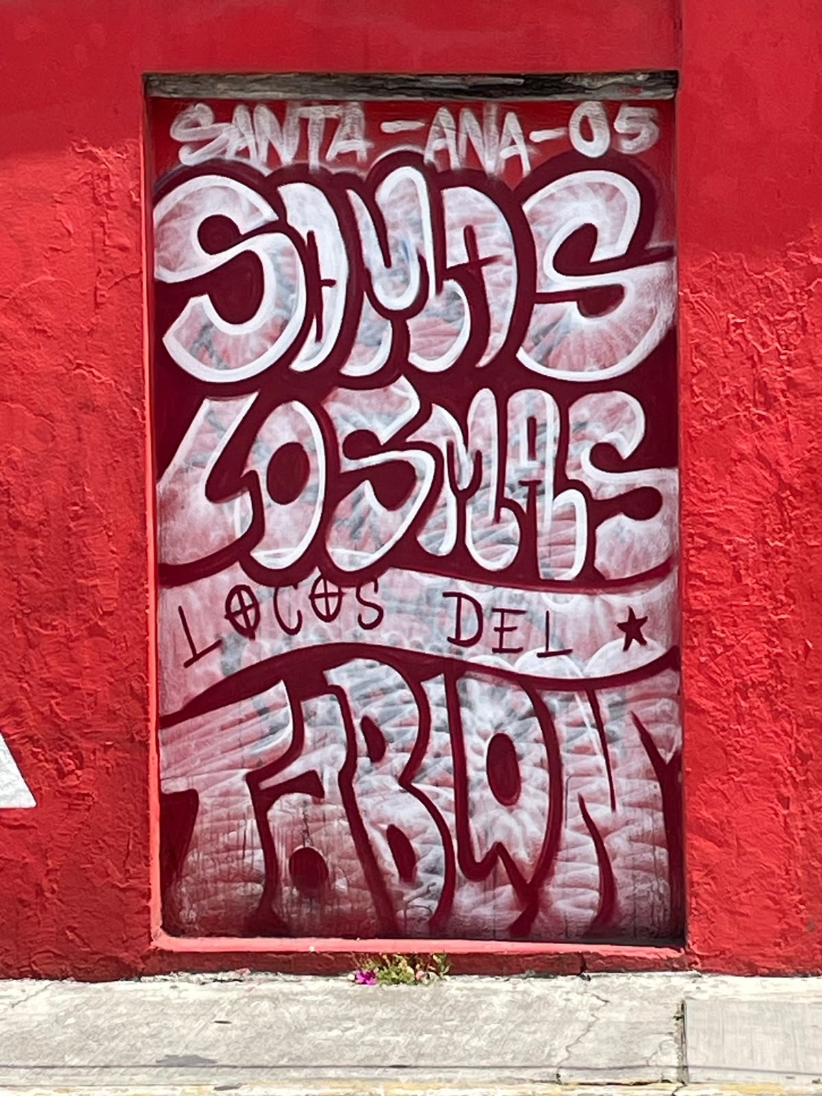 Murales actuales en Santa Ana