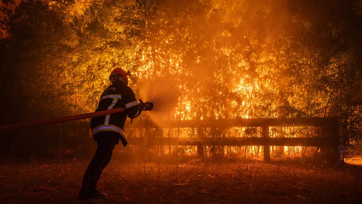 Incendios forestales se intensifican en Europa y Norteamérica