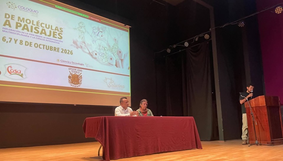 Una novela corta sobre resistencia civil y seguridad en Laguna Verde