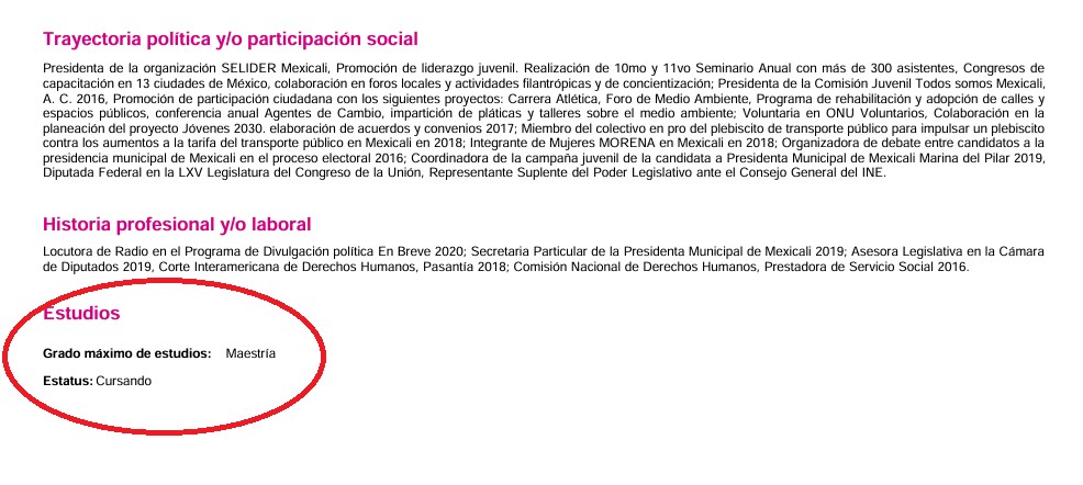 Ficha de candidatura al Senado presentada por Julieta Ramírez ante el INE en 2024, en la que reportó como grado máximo de estudios una maestría con estatus de “Cursando”. Ficha de candidatura al Senado presentada por Julieta Ramírez ante el INE en 2024, en la que reportó como grado máximo de estudios una maestría con estatus de “Cursando”.