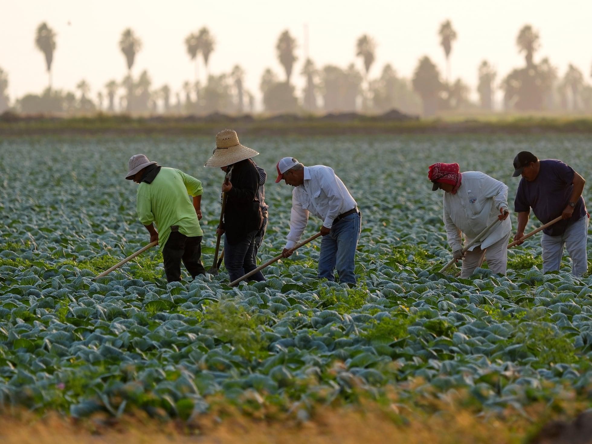 El empleo mexicano cae en Estados Unidos y el golpe llega a México